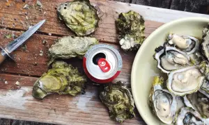 Świeże, otwarte ostrygi na desce z puszką napoju i nożem. Smaczne ostrygi czekają na degustację.