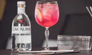 Ile kalorii ma gin z tonikiem? Sprawdź, co naprawdę pijesz