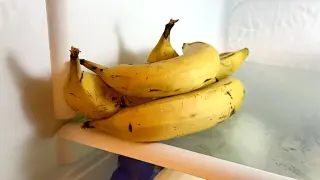 Kilka żółtych bananów leży na półce w lodówce. Czy banany można trzymać w lodówce? Tak, można, ale skórka może ściemnieć.