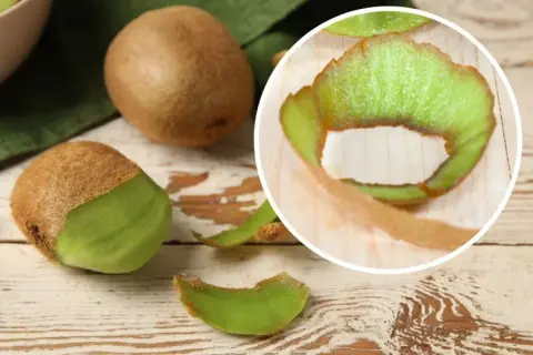 Czy można jeść kiwi ze skórką? Na zdjęciu widać obierane kiwi i jego skórkę, co sugeruje, że jest to możliwe.