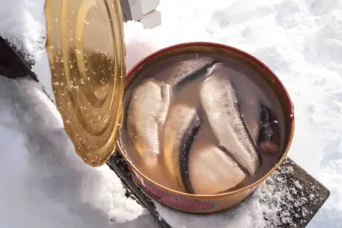 Otwarta puszka pełna kiszonych śledzi, stojąca na śniegu.
