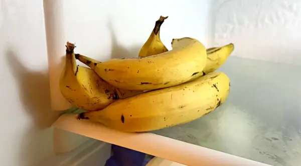 Kilka żółtych bananów leży na półce w lodówce. Czy banany można trzymać w lodówce? Tak, można, ale skórka może ściemnieć.