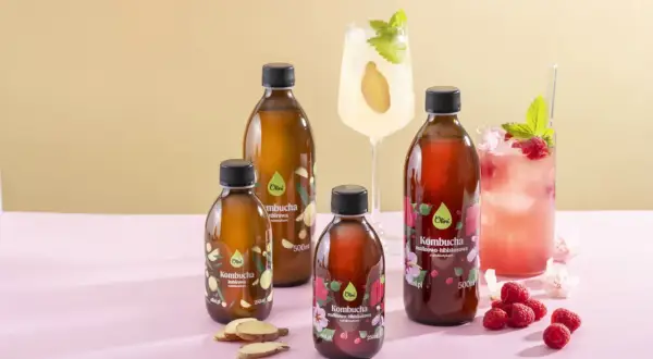 Butelki kombuchy imbirowej i malinowo-hibiskusowej, obok drinków z malinami i imbirem. To jest kombucha co to za napój?